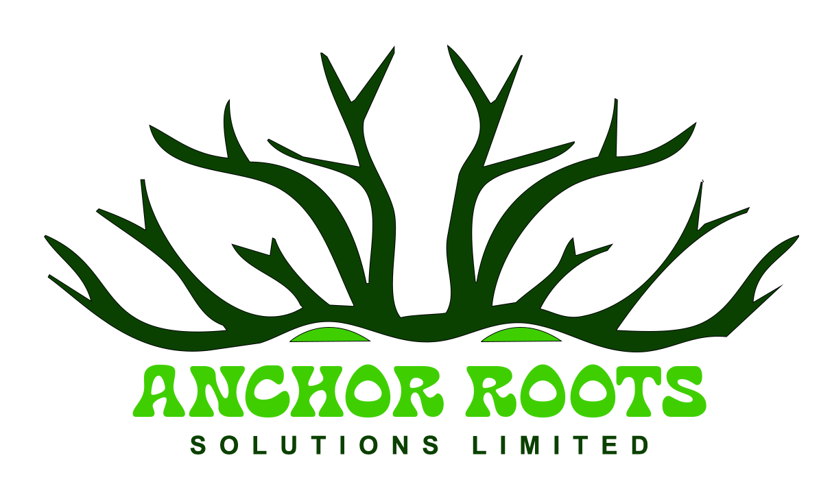 Anchor Roots logo
